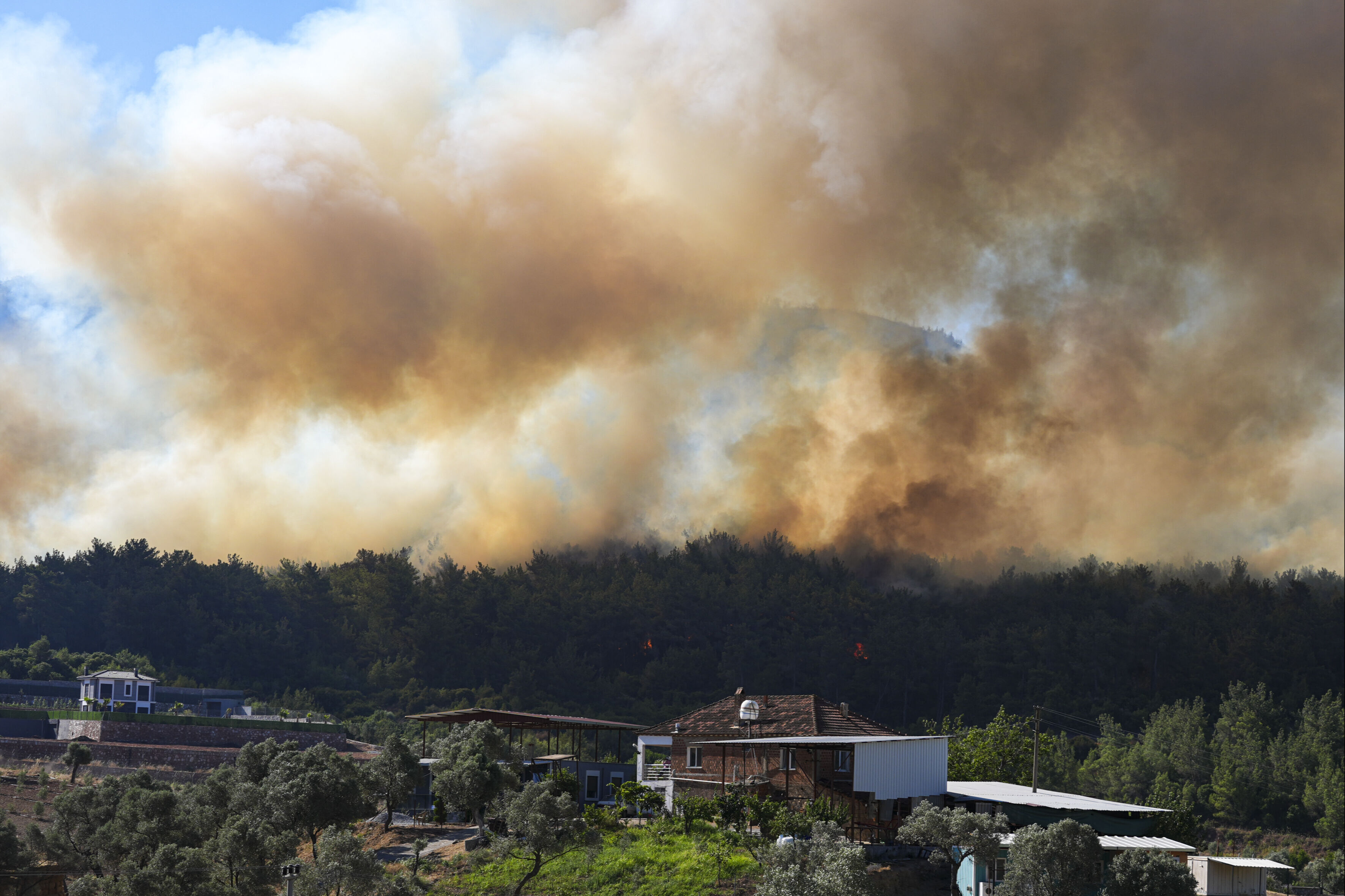 Hangi illerde yangın var, söndürüldü mü? Son dakika yangınlar son durum - 1. Resim