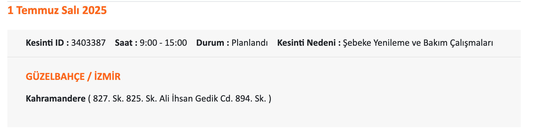 İzmir Gdz Elektrik elektrik saat verdi! 1-2 Temmuz 2025 İzmir'de elektrikler ne zaman kesilecek? - 13. Resim