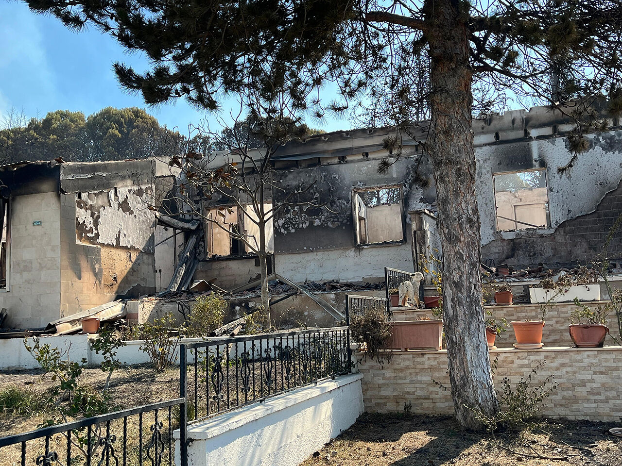 İzmir yangınının boyutu ortaya çıktı! Gözyaşları içinde anlattılar: 40 yıllık hatıralarımız vardı hepsi küle döndü - 4. Resim