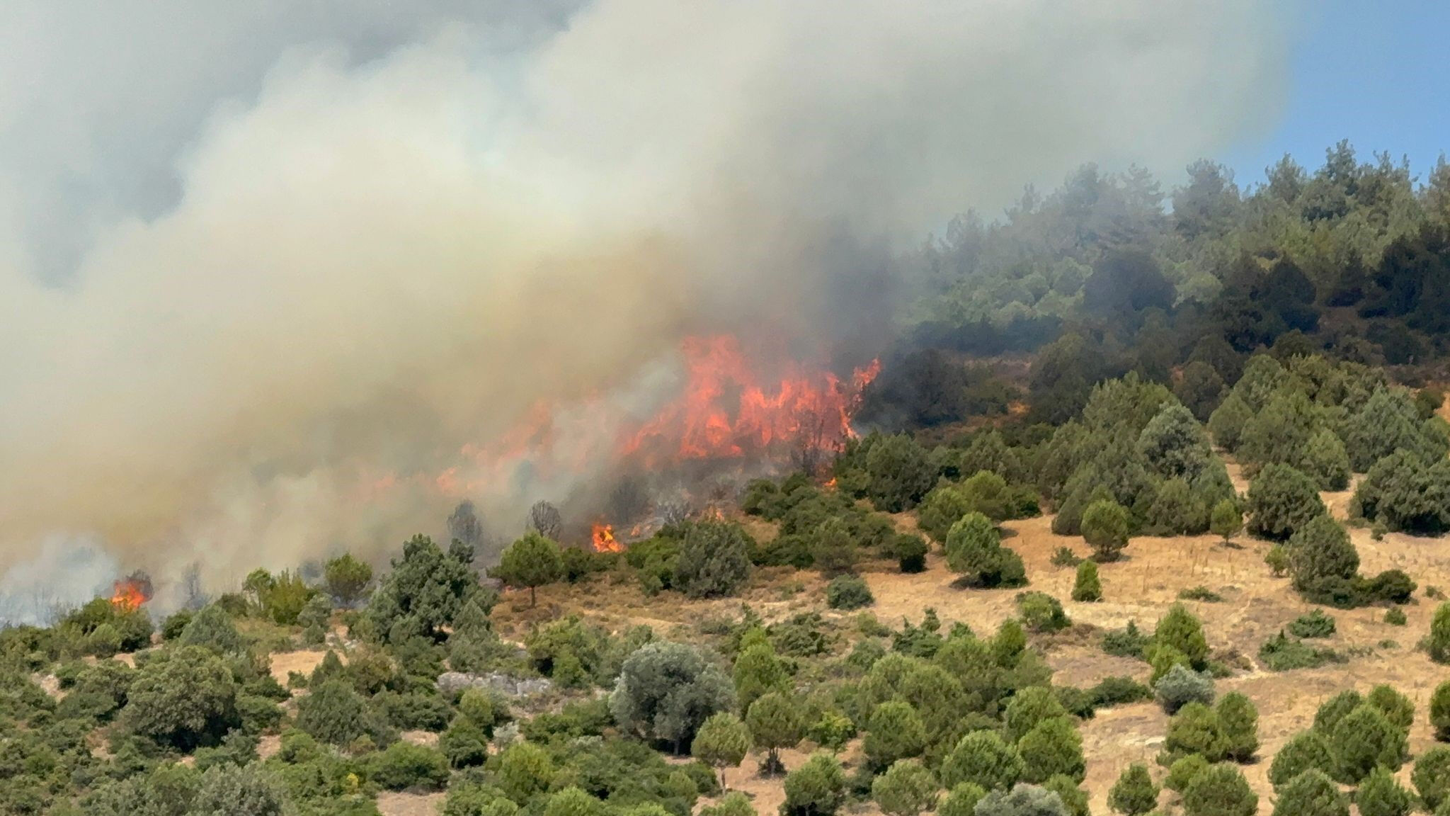 Manisa, Hatay, İzmir, Muğla... Son durum açıklandı! O ilde uçaklar kalkamıyor