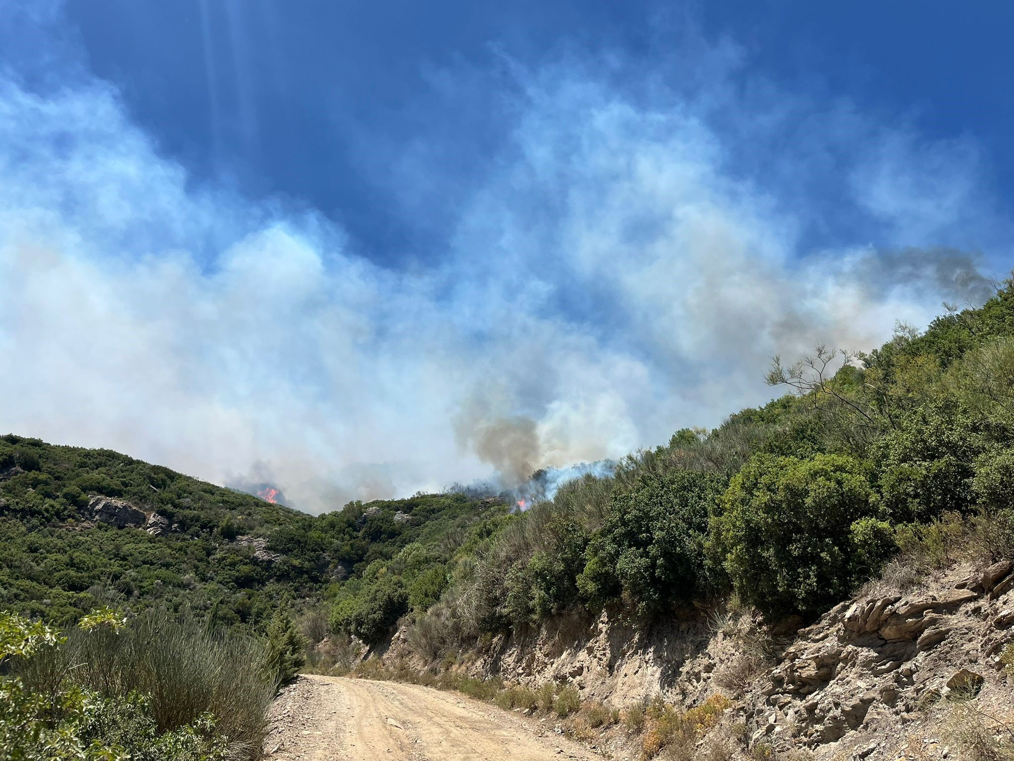 Manisa, Hatay, İzmir, Muğla... Son durum açıklandı! O ilde uçaklar kalkamıyor