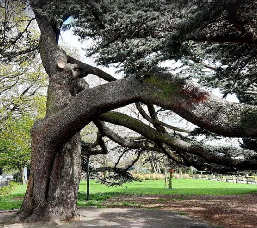 Parkta oynayan çocukların üzerine devrildi! Acı gerçek sonradan ortaya çıktı - 1. Resim