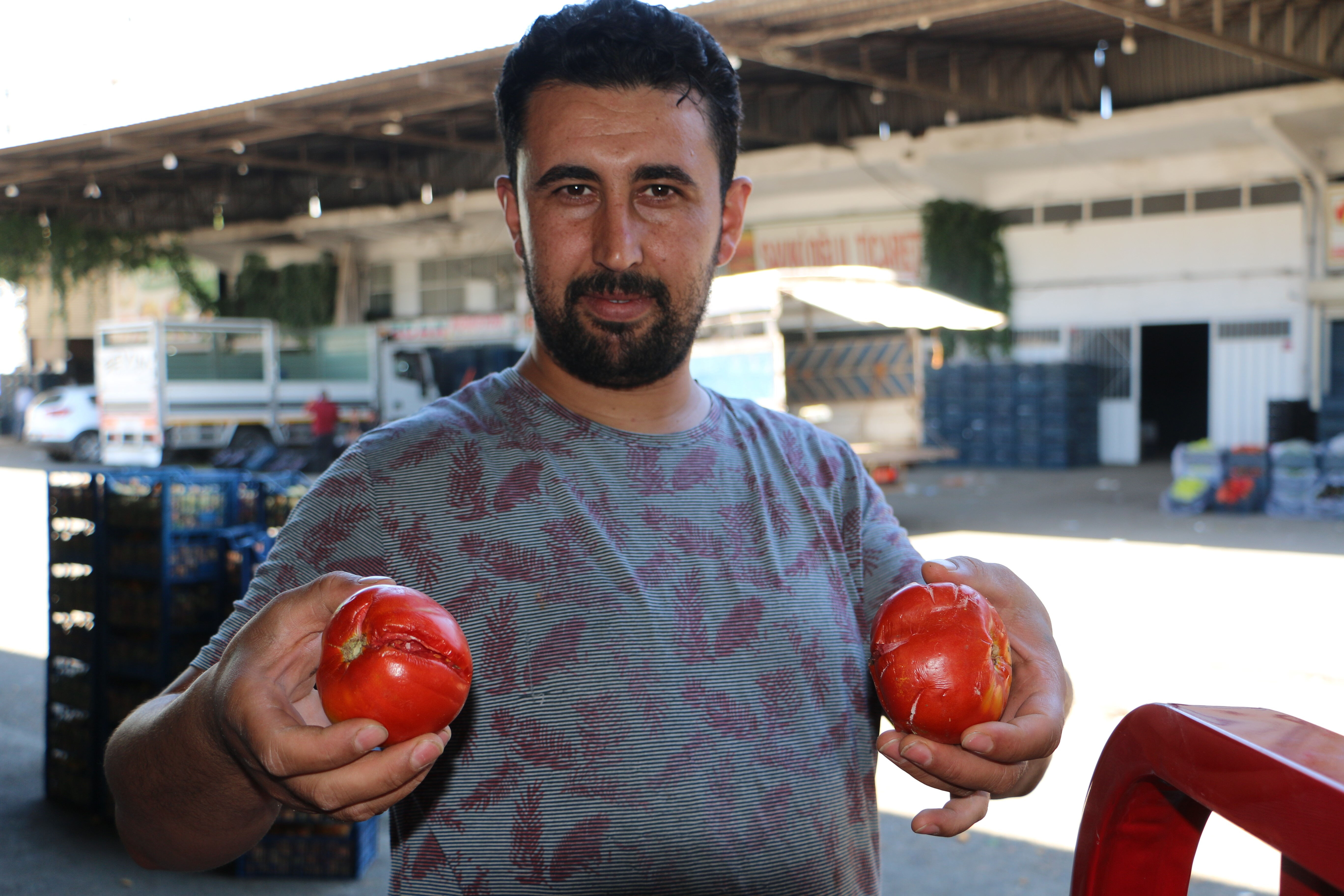 Sabah 4'te gelen &uuml;r&uuml;n, &ouml;ğlen &ccedil;&uuml;r&uuml;yor! 40 derece sıcaklık fiyatları da etkiledi - 2. Resim