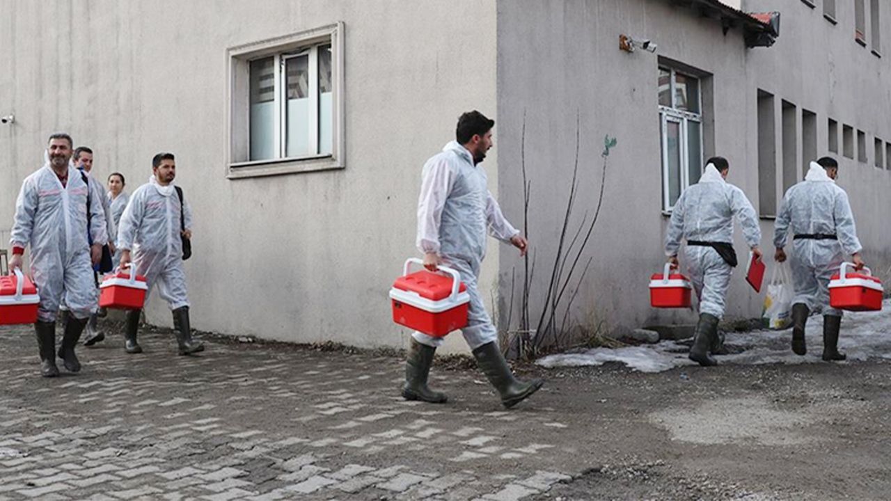 81 ilde 'acele' kodlu yazı gönderildi! Ülke genelinde tüm hayvan pazarları kapatıldı 81 ilde 'acele' kodlu yazı gönderildi! Ülke genelinde tüm hayvan pazarları kapatıldı