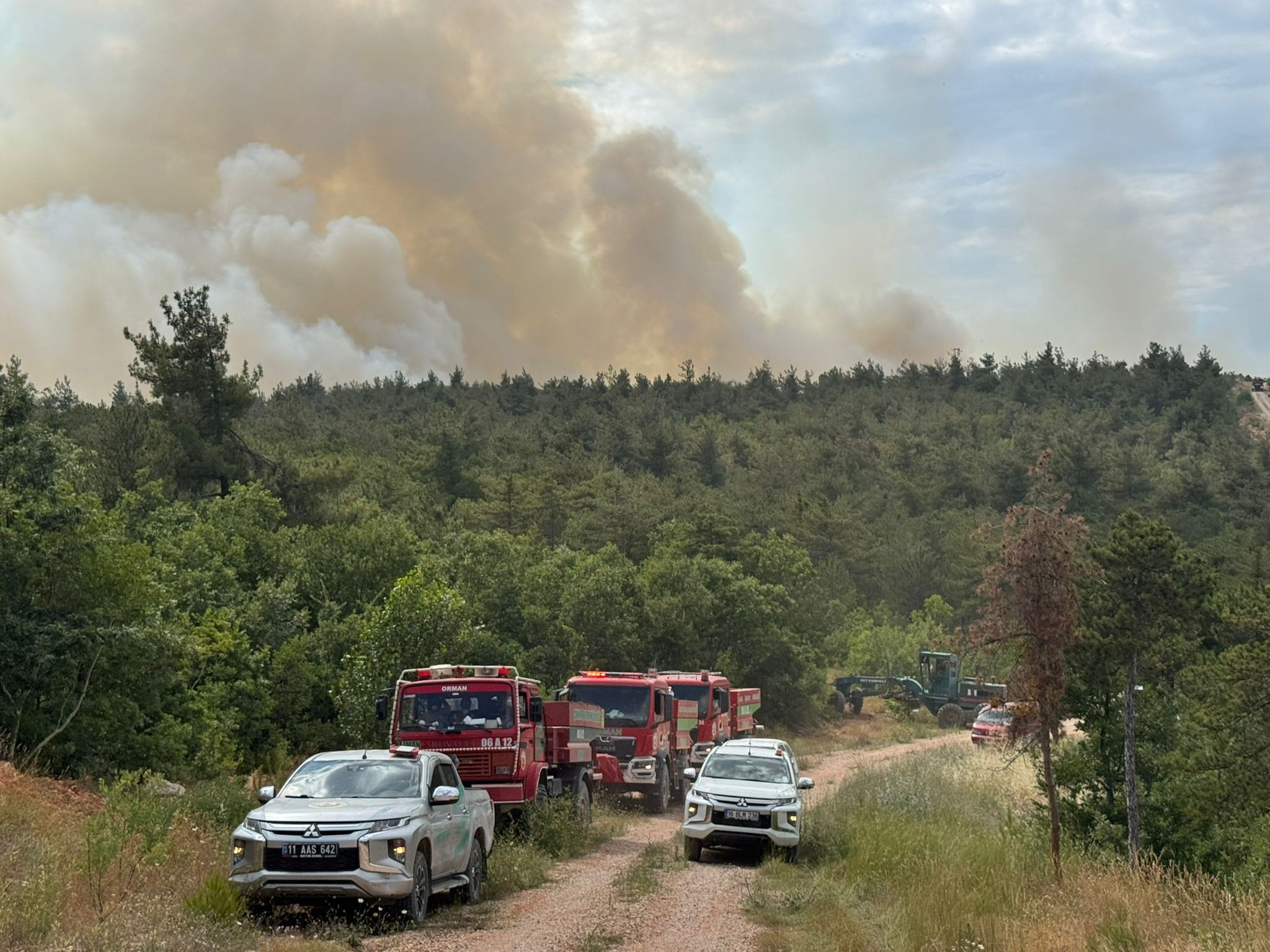 Alevler bu kez Bilecik'ten yükseldi! Ormanlık alanda çıkan yangın söndürülmeye çalışılıyor - 2. Resim