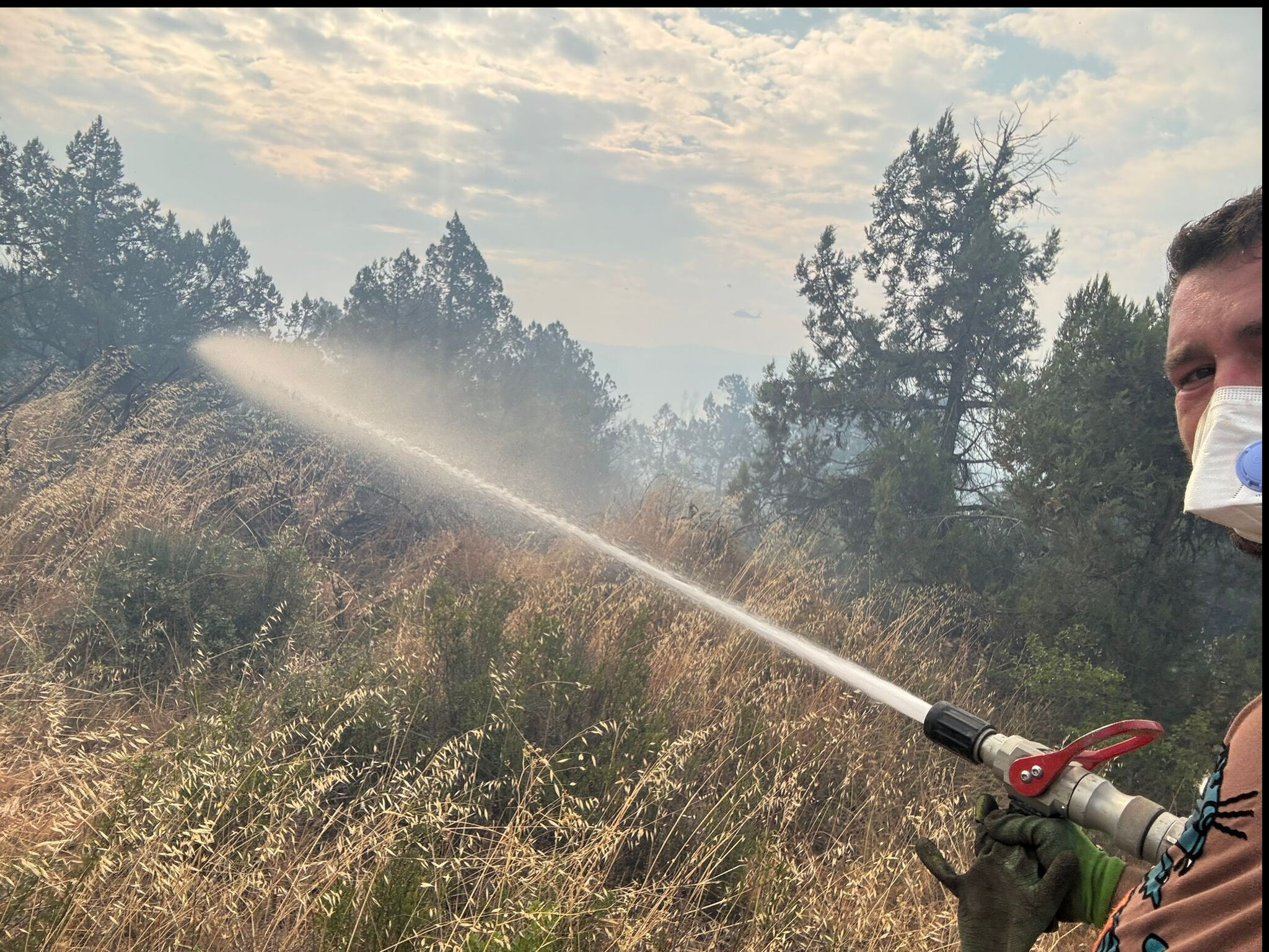 Alevler bu kez Bilecik'ten yükseldi! Ormanlık alanda çıkan yangın söndürülmeye çalışılıyor - 3. Resim