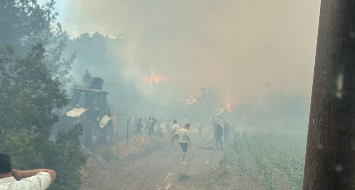 Alevler bu kez Bilecik'ten yükseldi! Ormanlık alanda çıkan yangın söndürülmeye çalışılıyor - 4. Resim