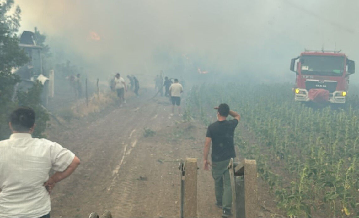 Alevler bu kez Bilecik'ten yükseldi! Ormanlık alanda çıkan yangın söndürülmeye çalışılıyor - 5. Resim