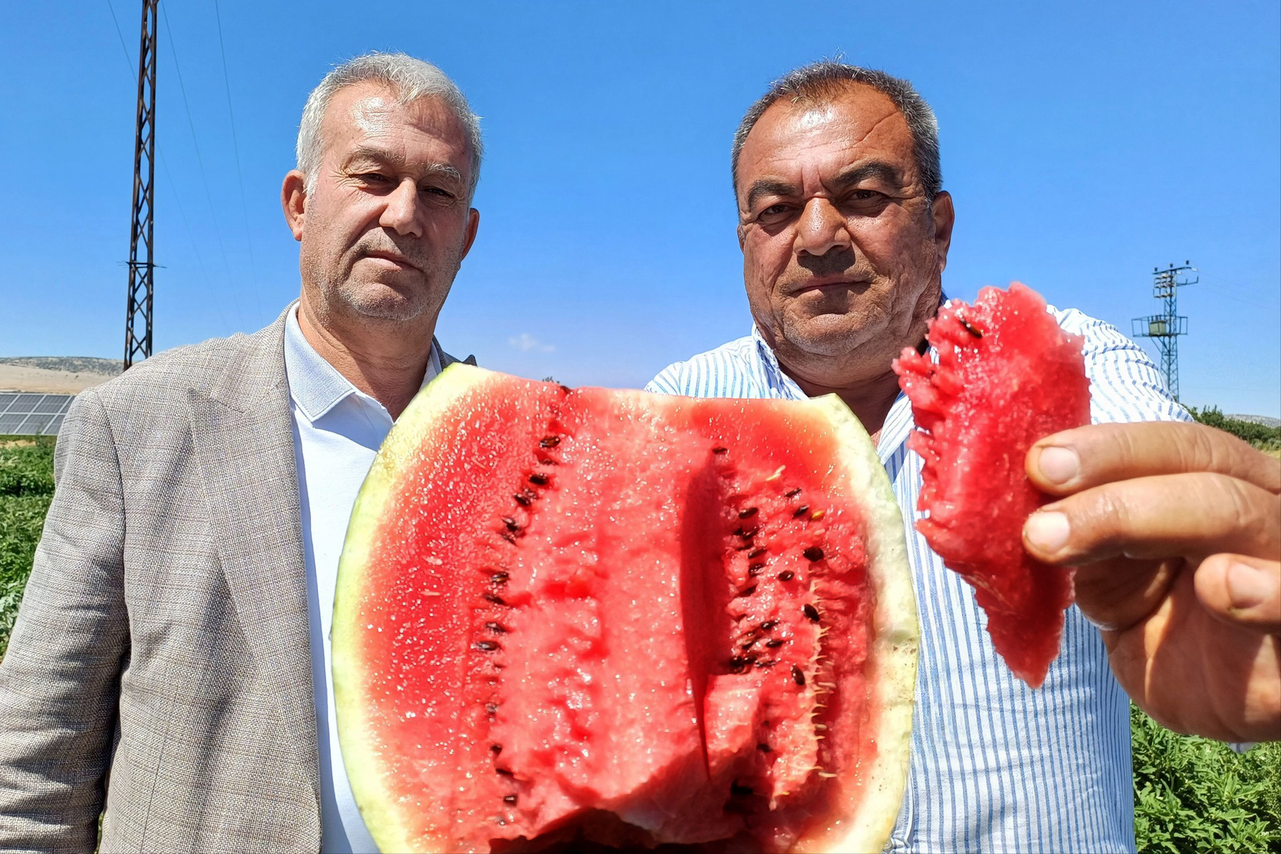 Araban'da karpuz hasadı başladı! Üretici tarla fiyatından şikayetçi - 1. Resim