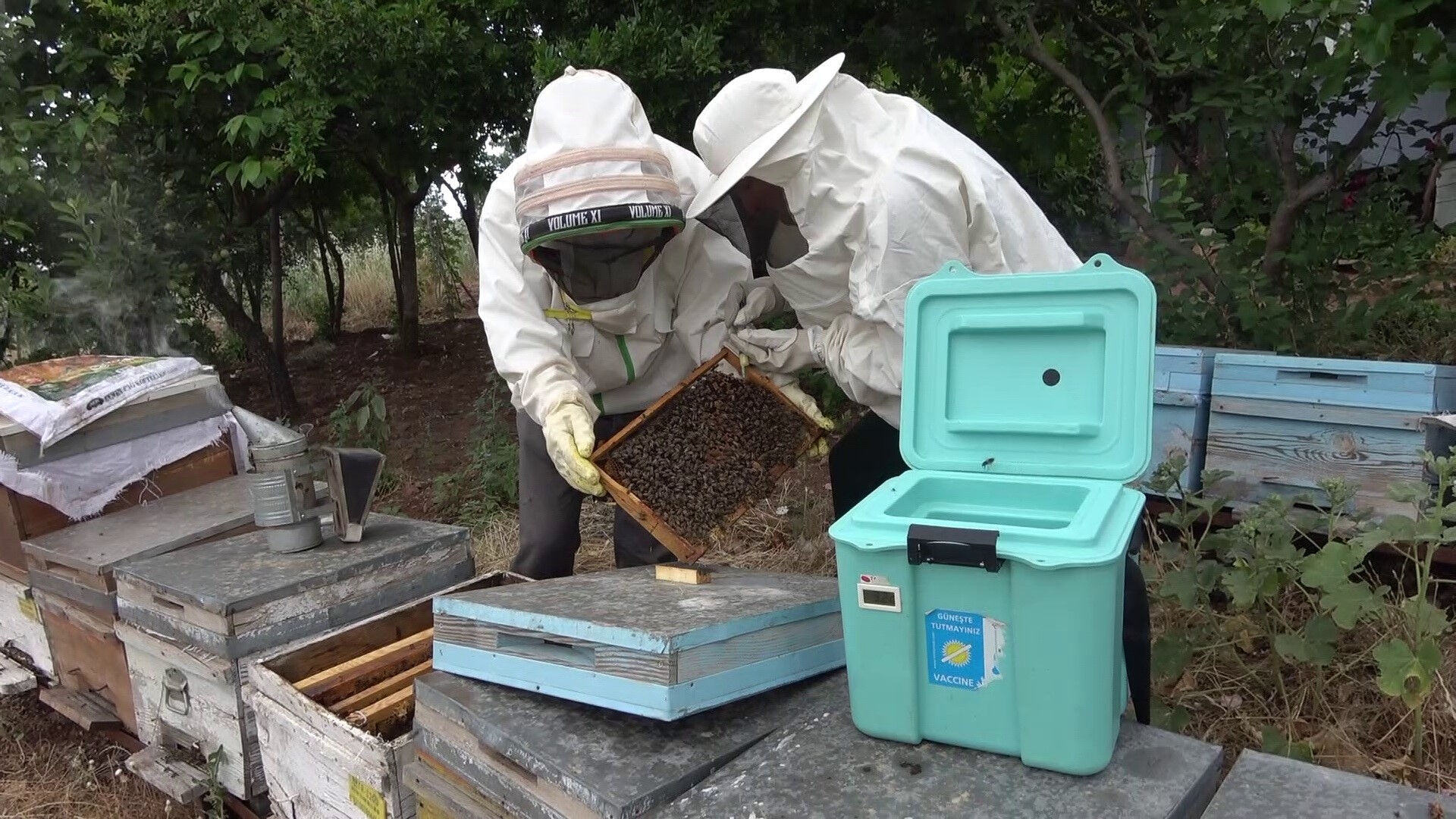 Bilim insanlarını heyecanlandıran buluş! D&uuml;nyanın en kıymetli besini kısırlığı tarihe karıştıracak - 1. Resim