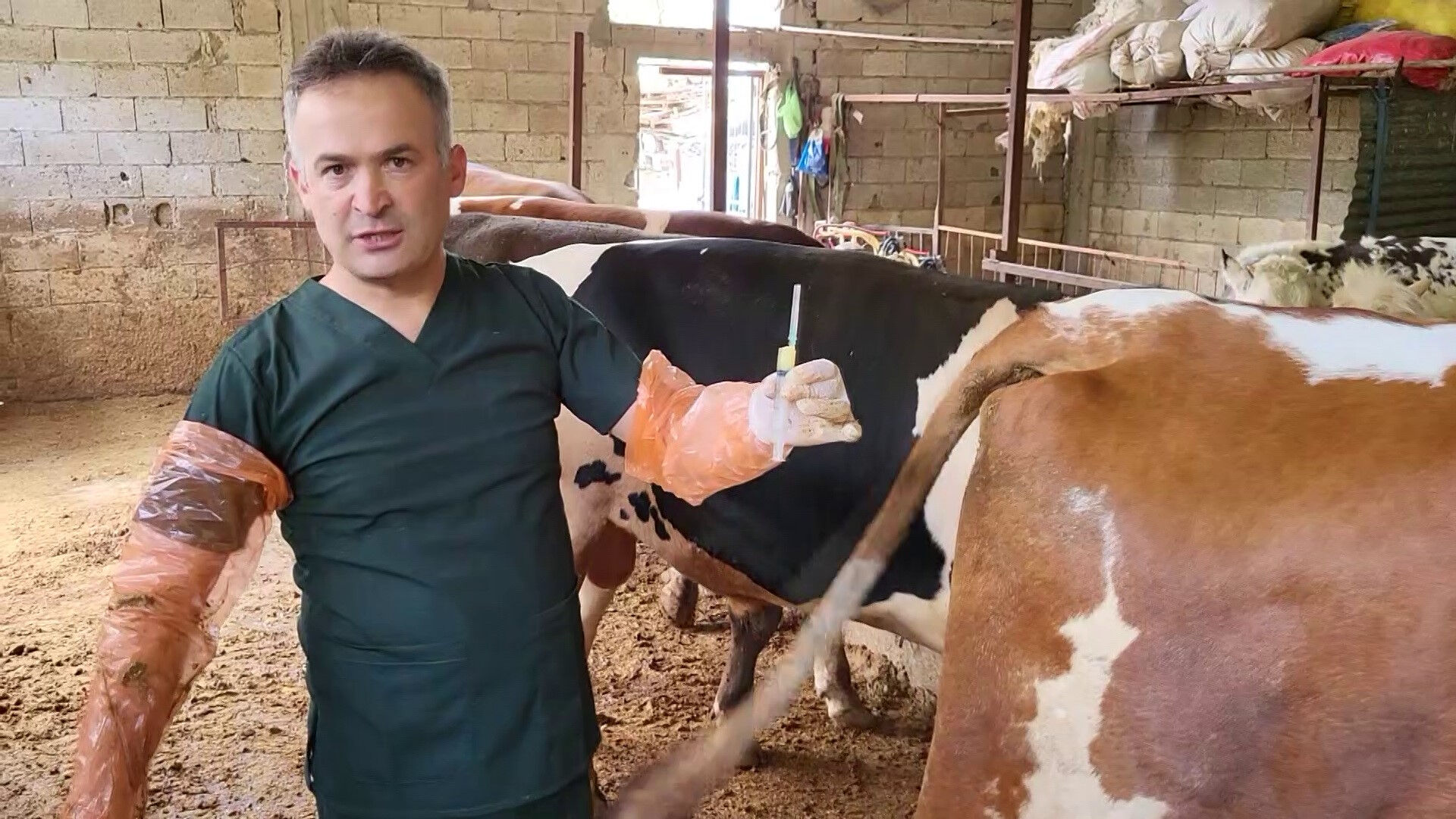 Bilim insanlarını heyecanlandıran buluş! D&uuml;nyanın en kıymetli besini kısırlığı tarihe karıştıracak - 2. Resim