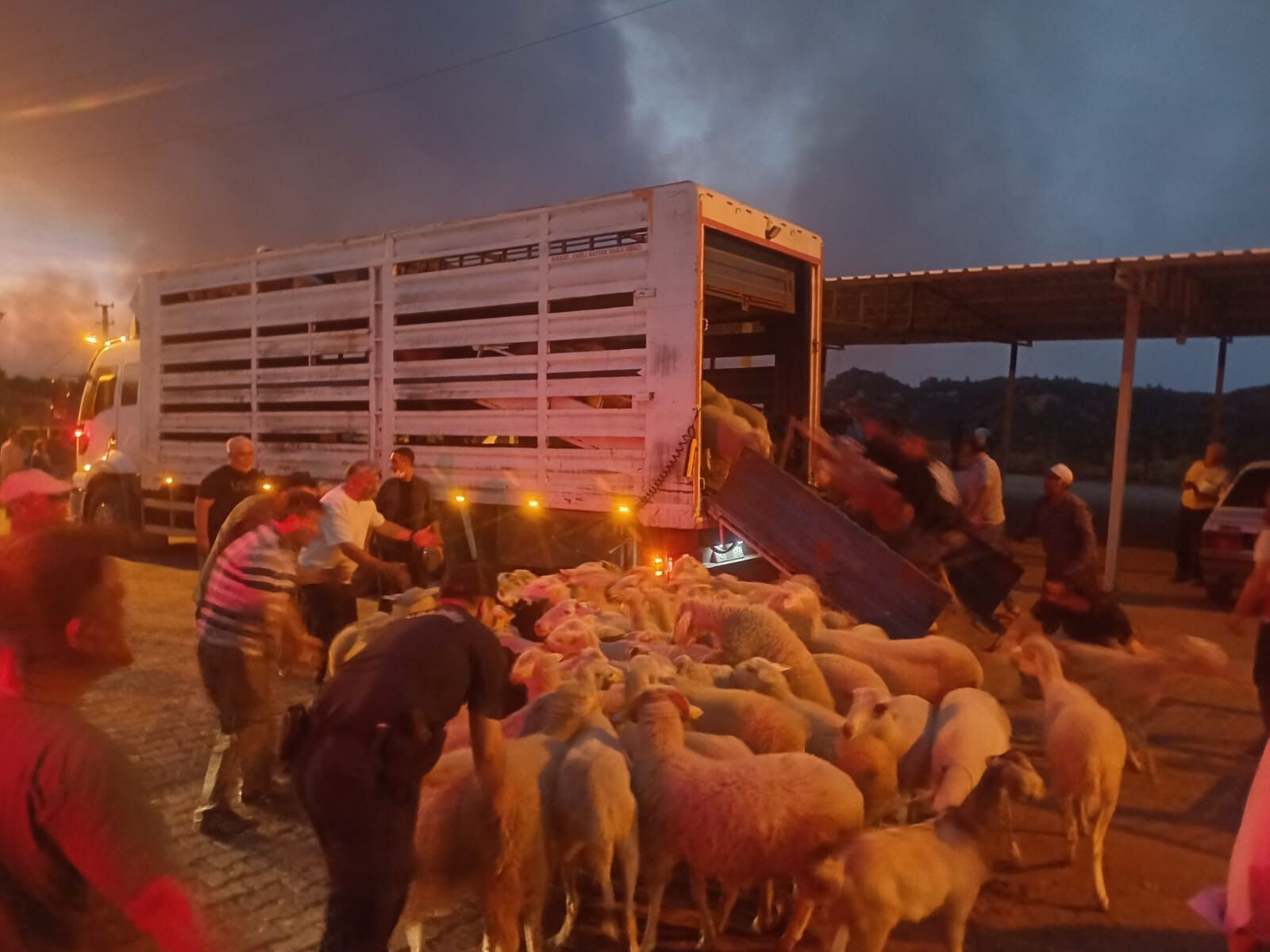 İzmir, Manisa, Hatay... Türkiye yangınlarla mücadele ediyor! Bir kentte 700 futbol sahası kadar alan yandı