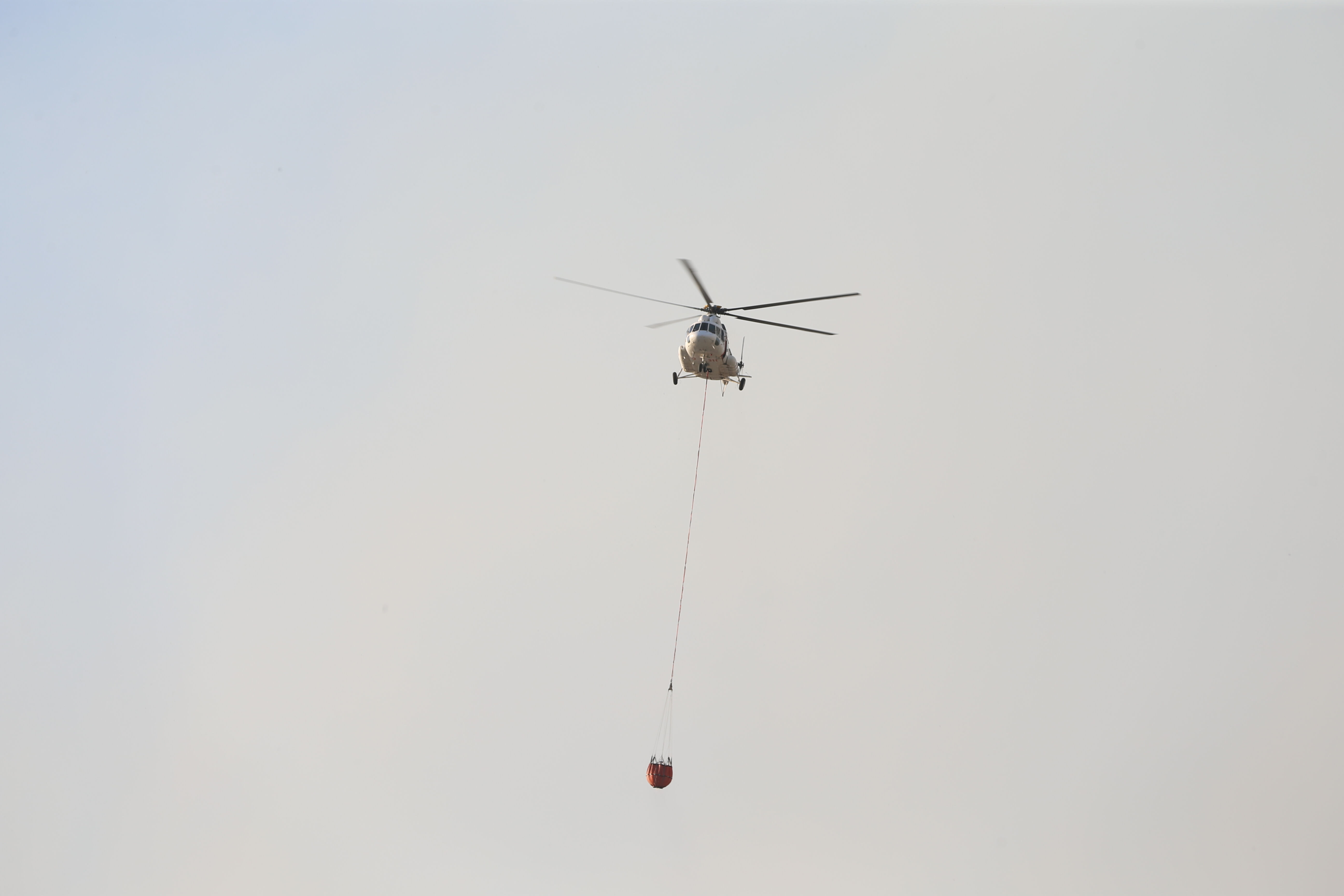 İzmir, Manisa, Hatay... Türkiye yangınlarla mücadele ediyor! Bir kentte 700 futbol sahası kadar alan yandı