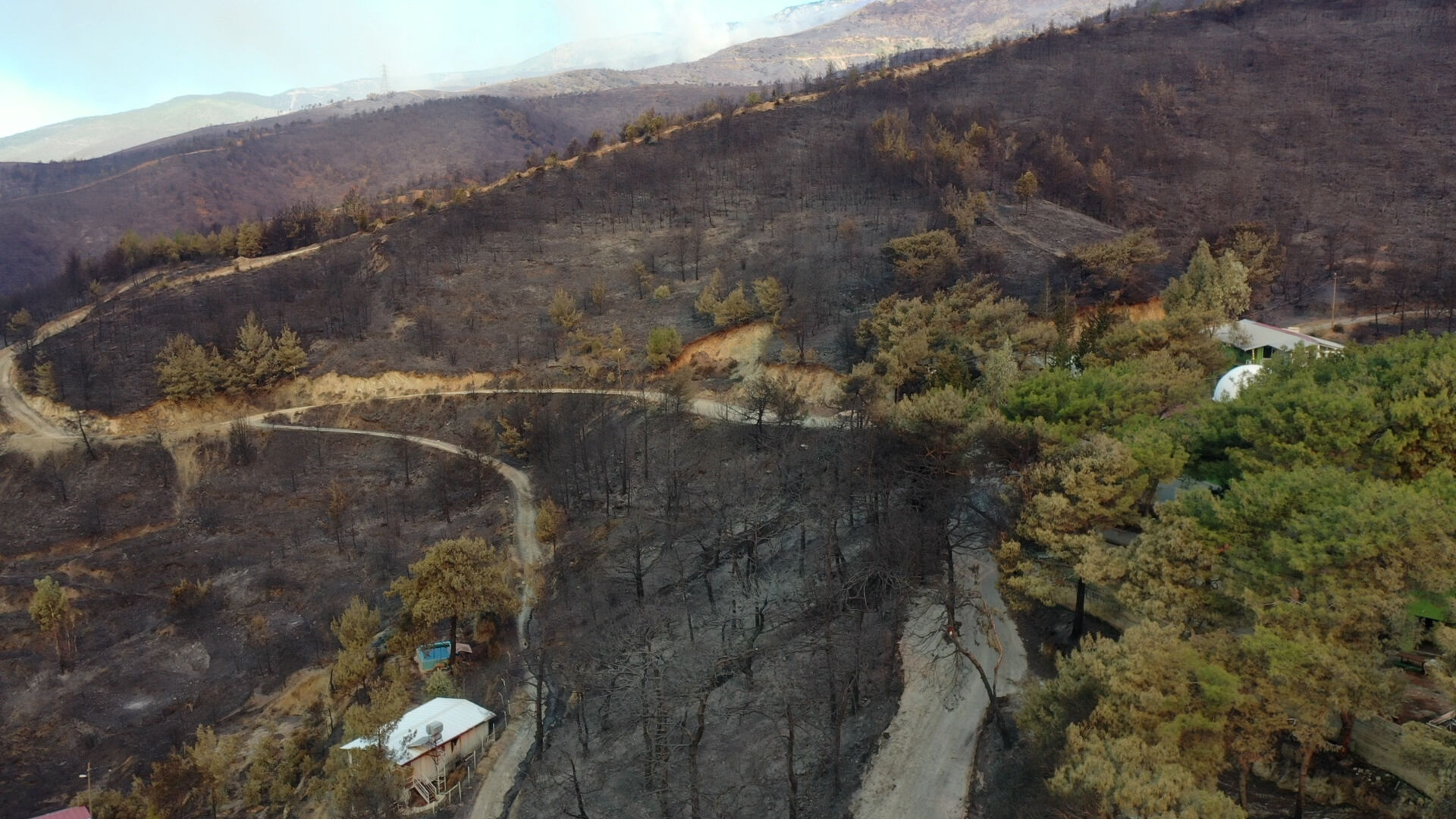 İzmir, Manisa, Hatay... Türkiye yangınlarla mücadele ediyor! Bir kentte 700 futbol sahası kadar alan yandı