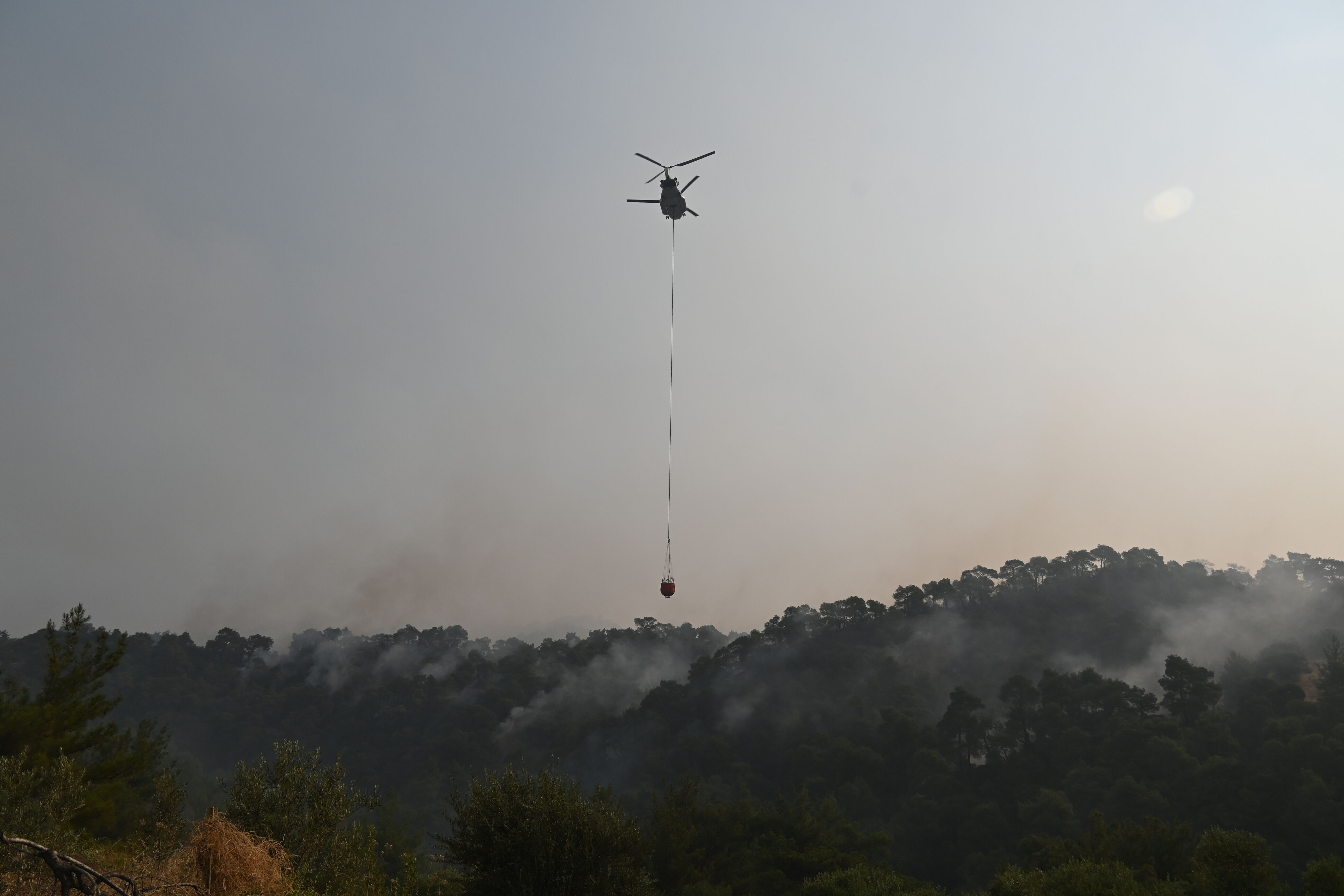 İzmir, Manisa, Hatay... Türkiye yangınlarla mücadele ediyor! Bir kentte 700 futbol sahası kadar alan yandı