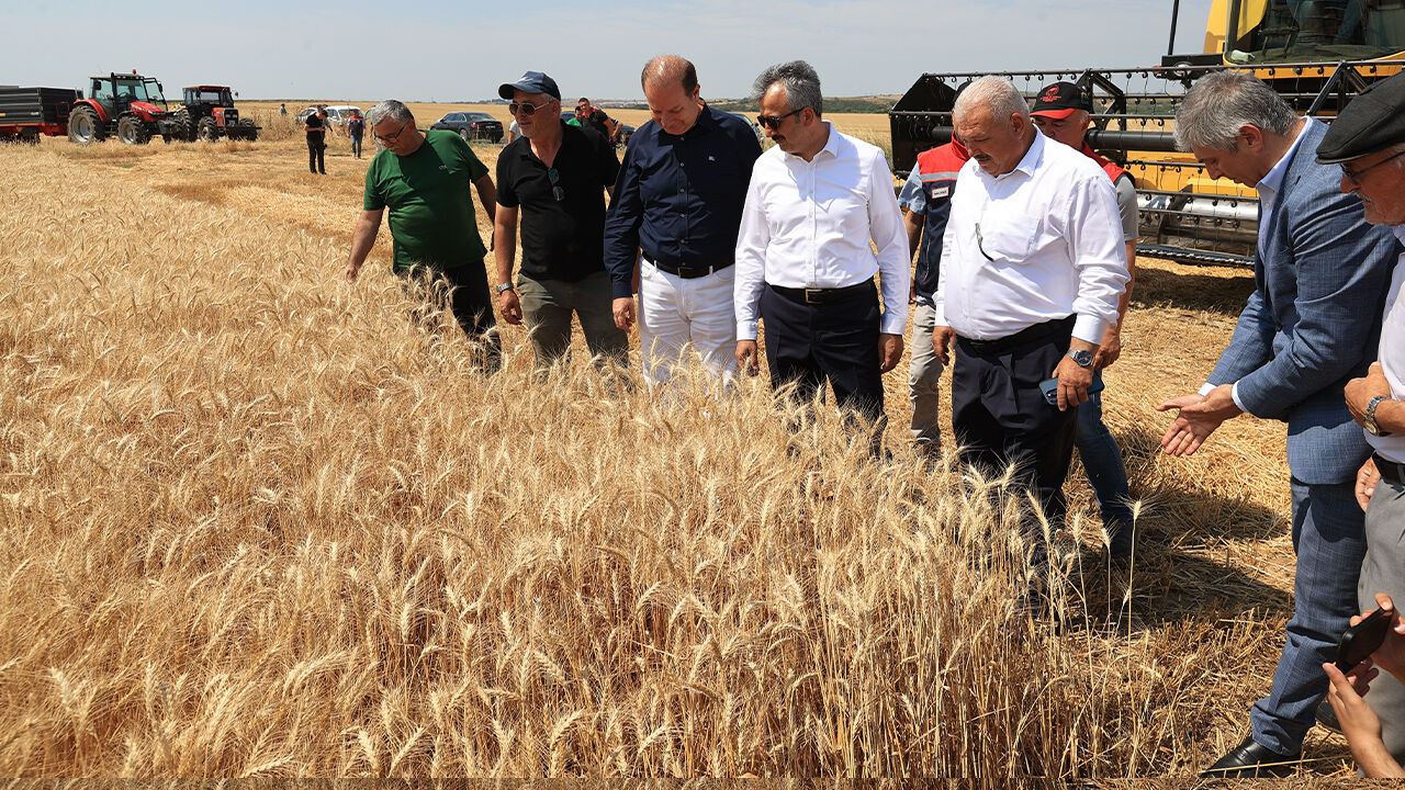 Vali biçerdöverin başına geçti, hasat yaptı! Çiftçi, alım fiyatından da verimden de memnun - 2. Resim
