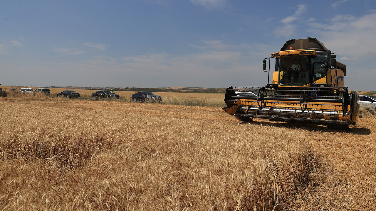 Vali biçerdöverin başına geçti, hasat yaptı! Çiftçi, alım fiyatından da verimden de memnun - 1. Resim