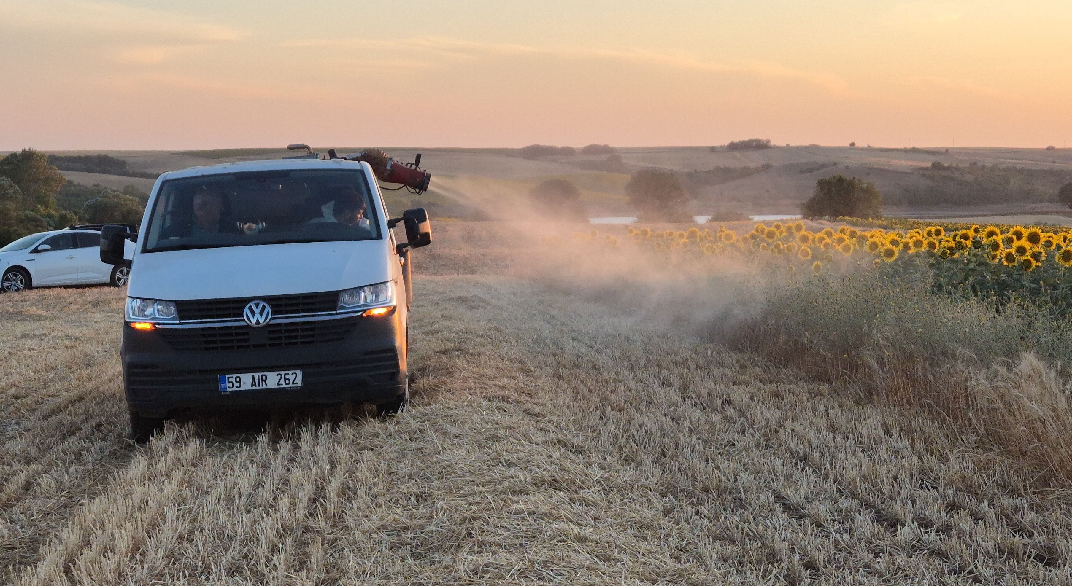 15 gün önce başladı, her yeri istila ettiler! Tarlada zarar büyük, ilaçlama başladı - 3. Resim