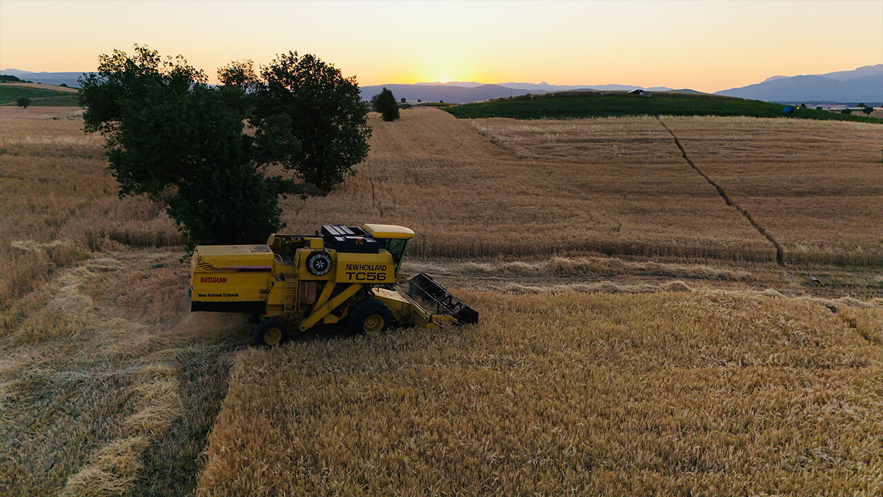 2025'in ilk hasadı başladı! 70 bin ton ürün alınacak - 1. Resim