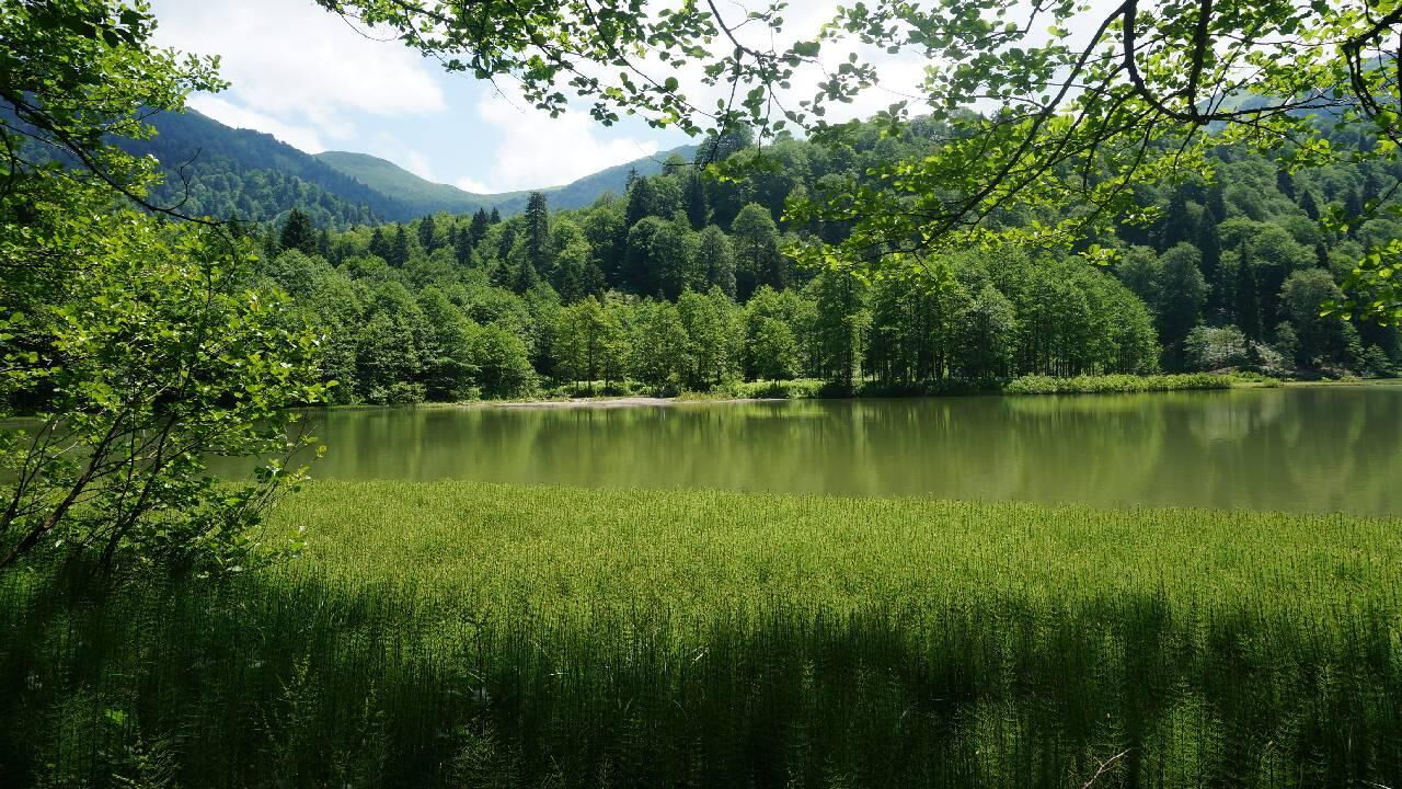 47 ilde yangın tehlikesine karşı tedbir alındı! Hangi illerde ormanlara girişler yasaklandı? - 5. Resim