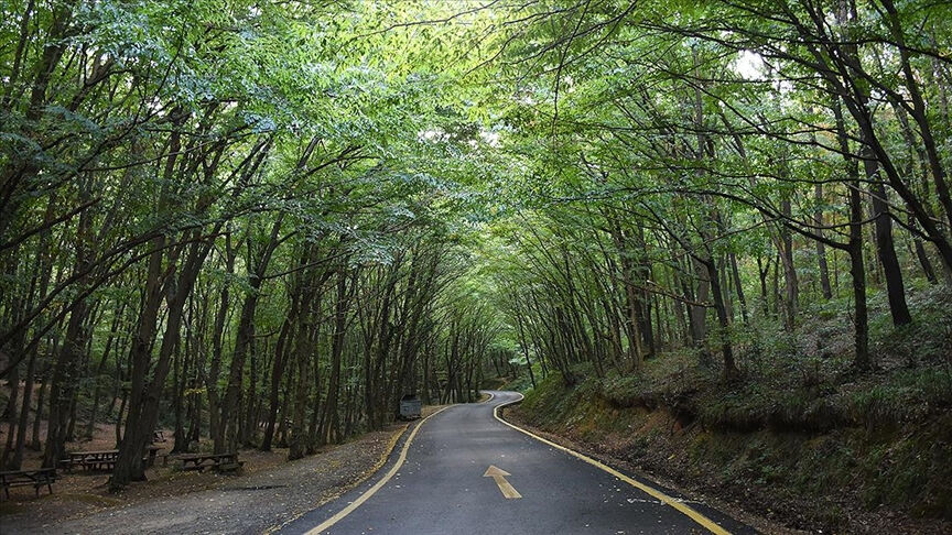 47 ilde yangın tehlikesine karşı tedbir alındı! Hangi illerde ormanlara girişler yasaklandı? - 2. Resim