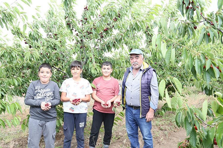 6 yıl önce ekti, ilk hasadı bu yıl yaptı! Tarlada kilosu 250 lira  - 1. Resim