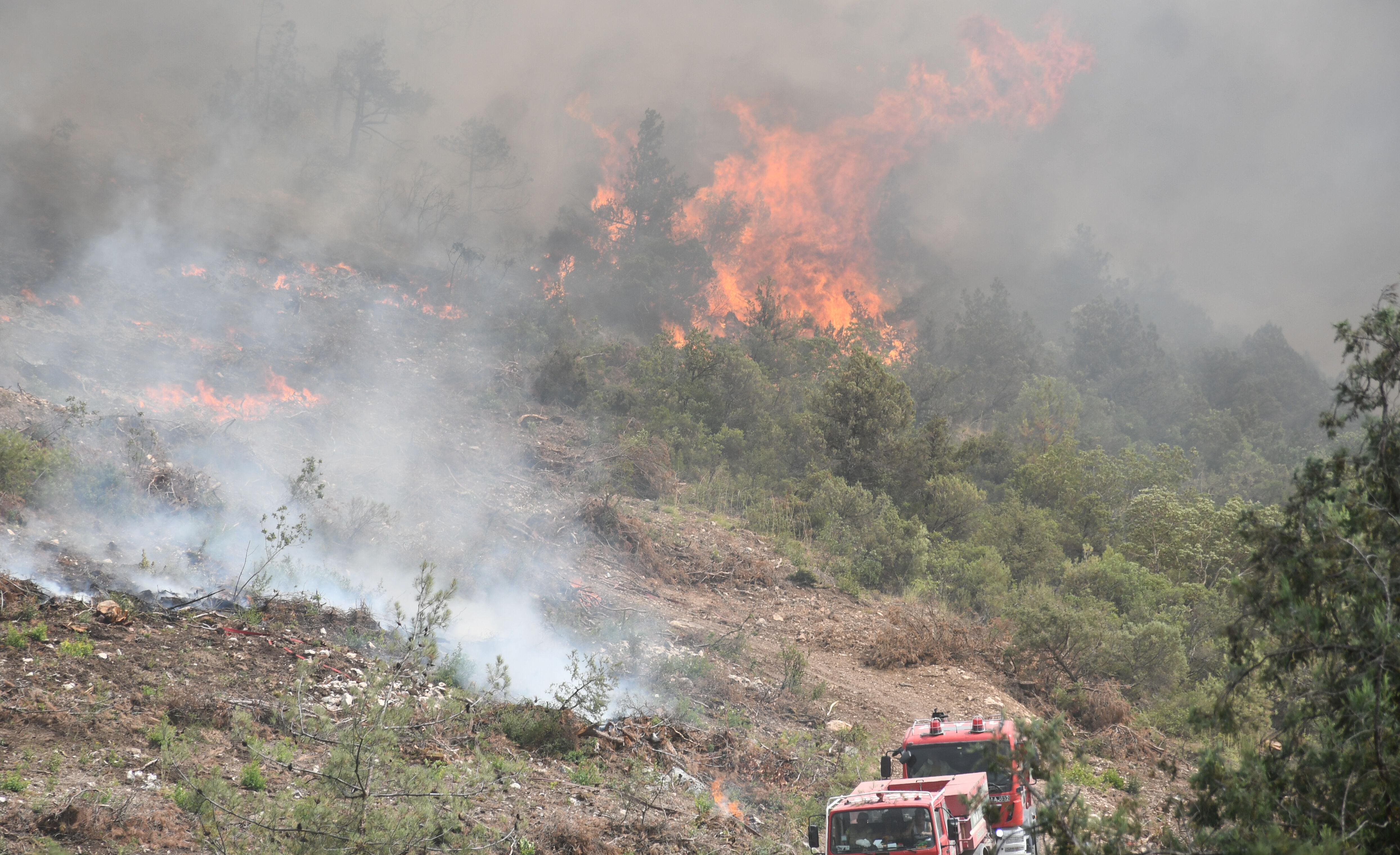 Bakan Yumaklı son durumu paylaştı: 6 yangın kontrol altında, 2'sinde mücadele sürüyor - 2. Resim