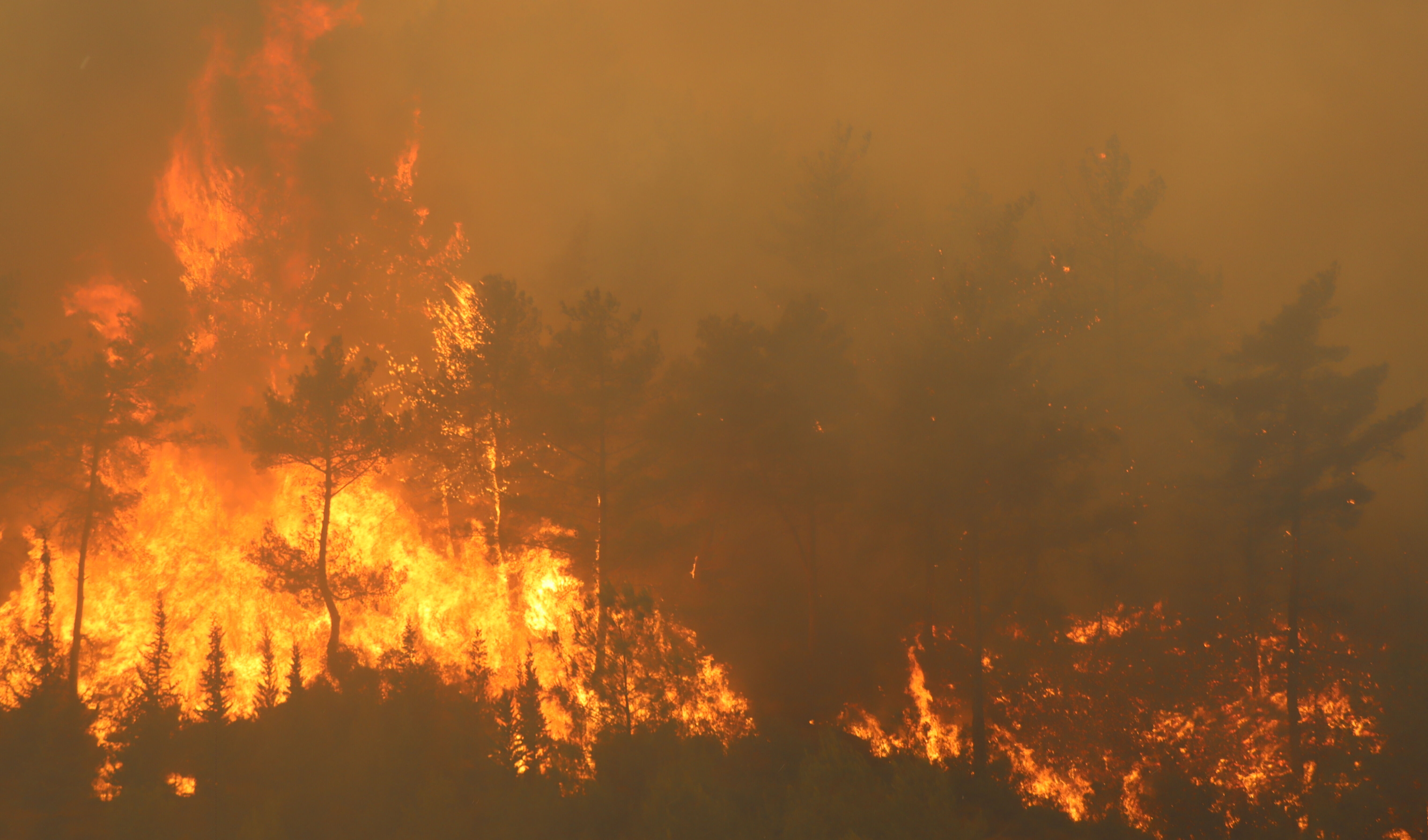 Bakan Yumaklı son durumu paylaştı: 6 yangın kontrol altında, 3'ünde mücadele sürüyor - 1. Resim