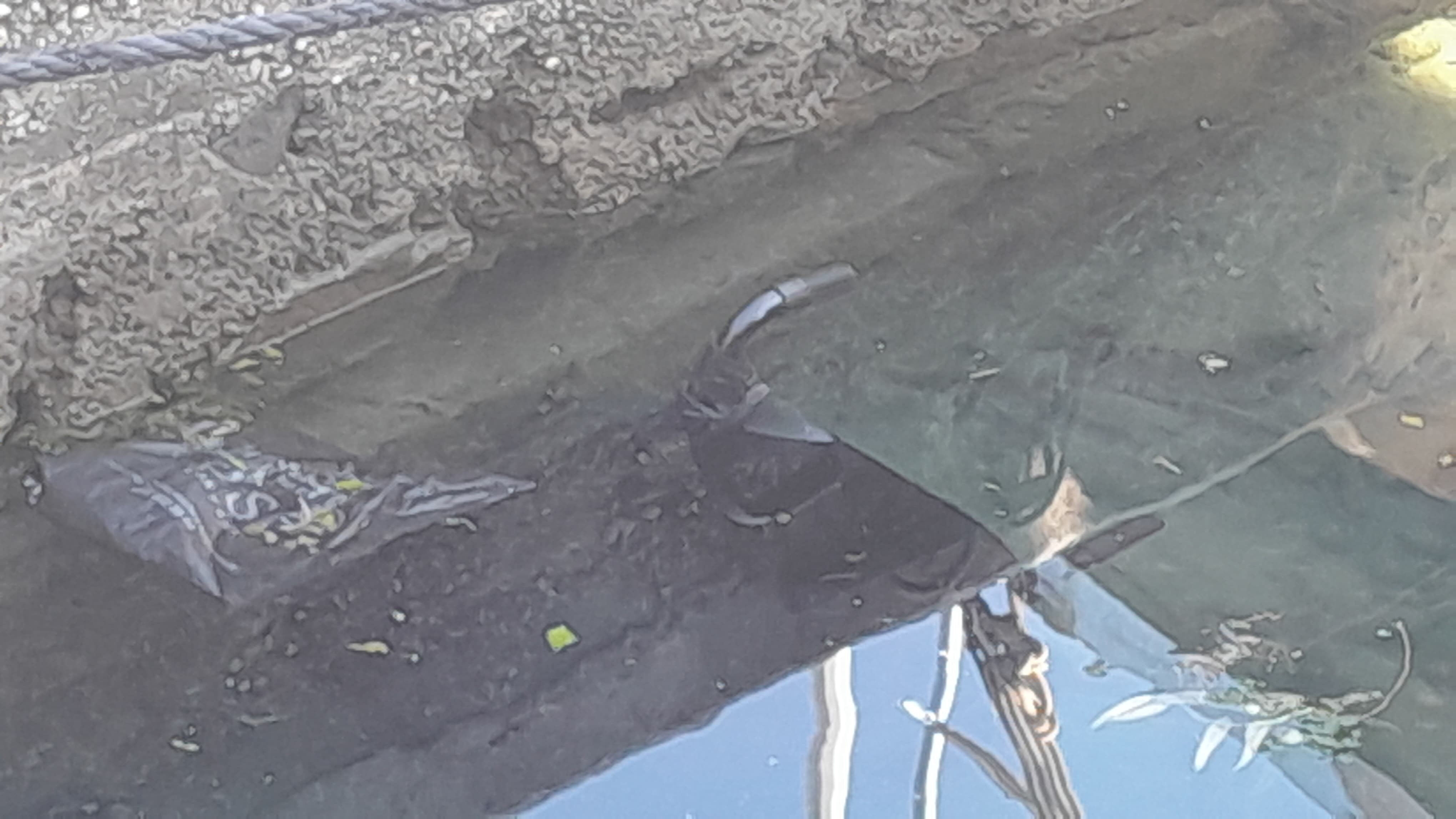 Engelli vatandaşın kahreden ölümü! Akülü sandalyeden kendini denize attı - 2. Resim