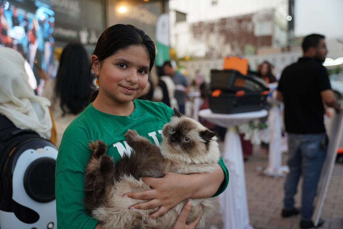 Kedi festivalinden hayran bırakan görüntüler! En güzelleri bir araya geldi - 9. Resim