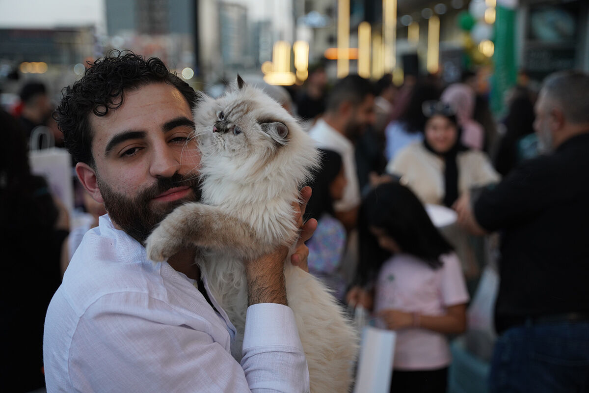 Kedi festivalinden hayran bırakan görüntüler! En güzelleri bir araya geldi - 8. Resim