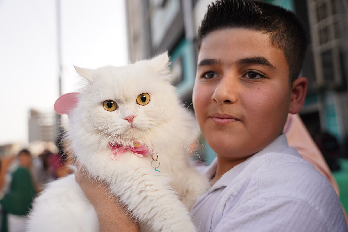 Kedi festivalinden hayran bırakan görüntüler! En güzelleri bir araya geldi - 12. Resim