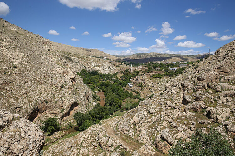 Mardin'de ortaya çıktı, eşi benzeri yok! 160 bin yıllık sır çözülüyor mu? - 3. Resim