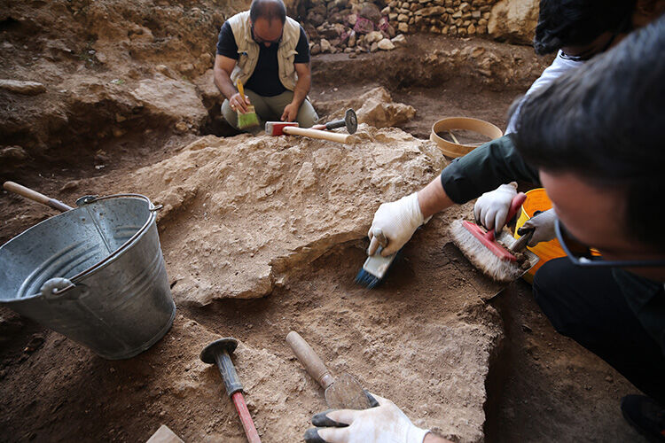 Mardin'de ortaya çıktı, eşi benzeri yok! 160 bin yıllık sır çözülüyor mu? - 1. Resim