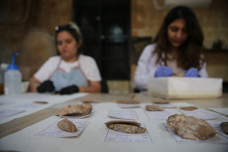 Mardin'de ortaya çıktı, eşi benzeri yok! 160 bin yıllık sır çözülüyor mu? - 2. Resim