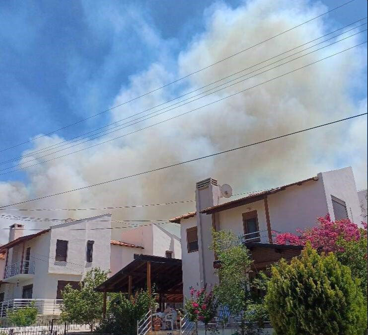 Orman yangınlarında son durum ne? Hatay, İzmir, Manisa'da yangınlar gündemde - 6. Resim
