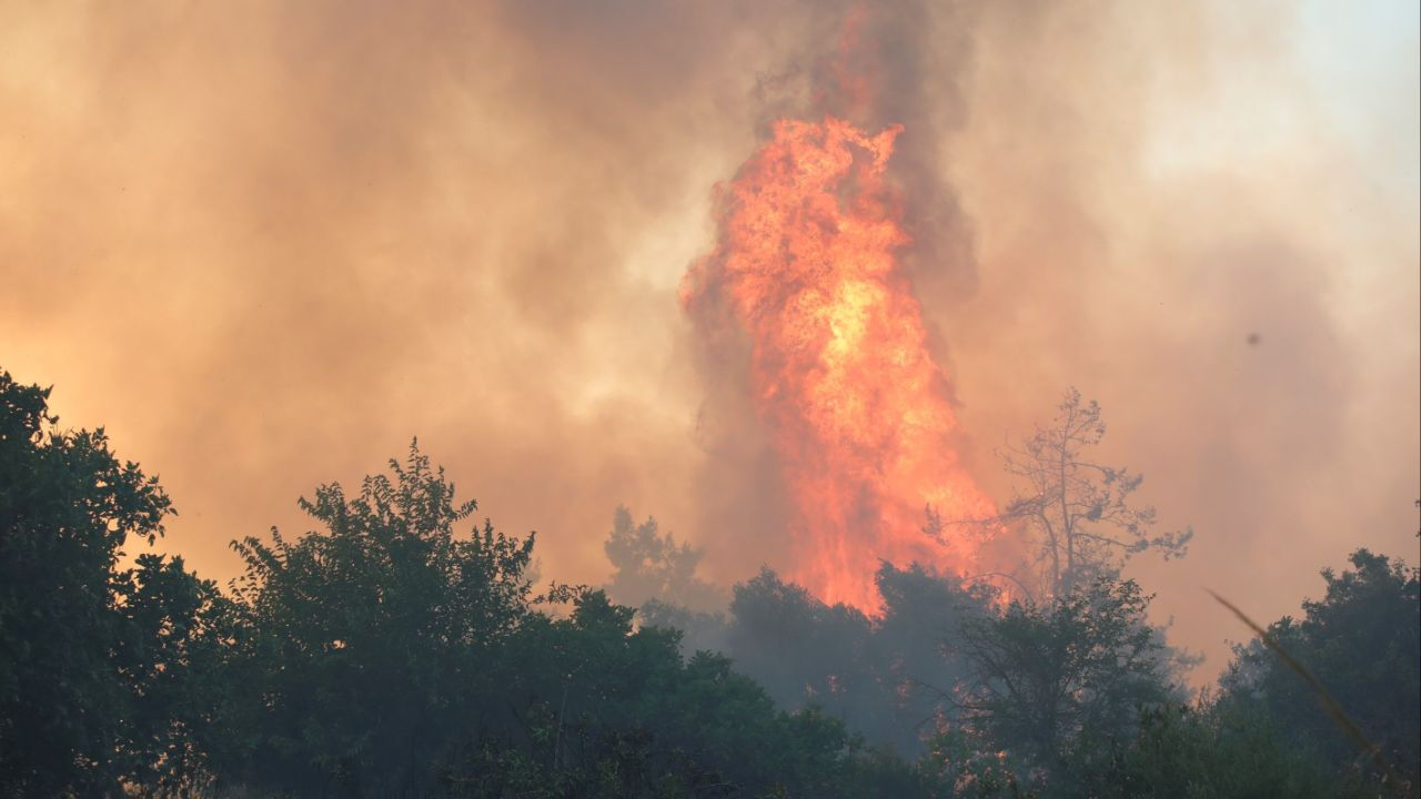 Orman yangınlarında son durum ne? Hatay, İzmir, Manisa'da yangınlar gündemde - 3. Resim