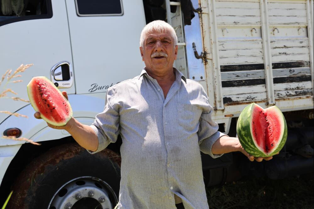 Sıcak havalar talepleri patlattı! Tarlada kilosu 2 liradan satıldı, beklenenin 5 katı ürün çıktı - 6. Resim