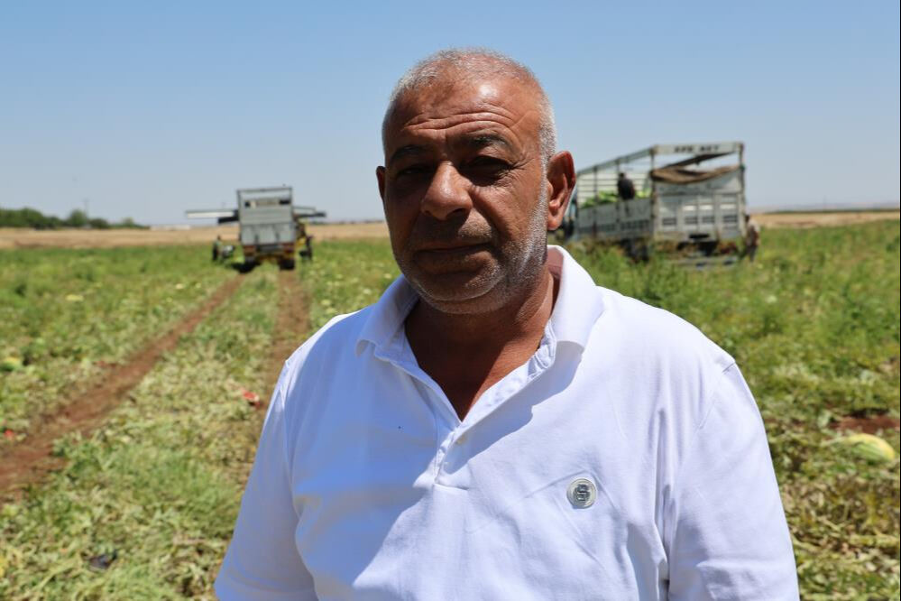 Sıcak havalar talepleri patlattı! Tarlada kilosu 2 liradan satıldı, beklenenin 5 katı ürün çıktı - 2. Resim