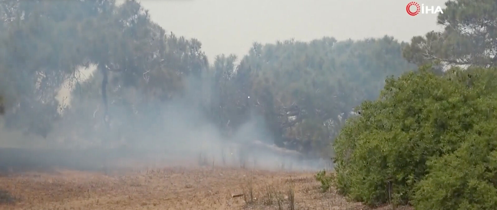 Antalya'da neden orman yangını çıktı, son durum ne? Muratpaşa'da alevlerle mücadele sürüyor - 2. Resim