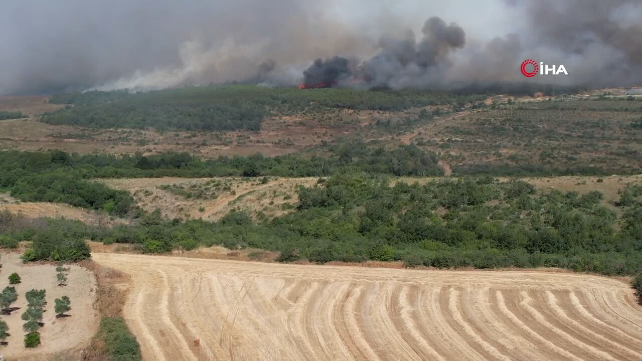 İstanbul Silivri'de orman yangını! 2 yangın söndürme uçağıyla müdahale ediliyor - 1. Resim