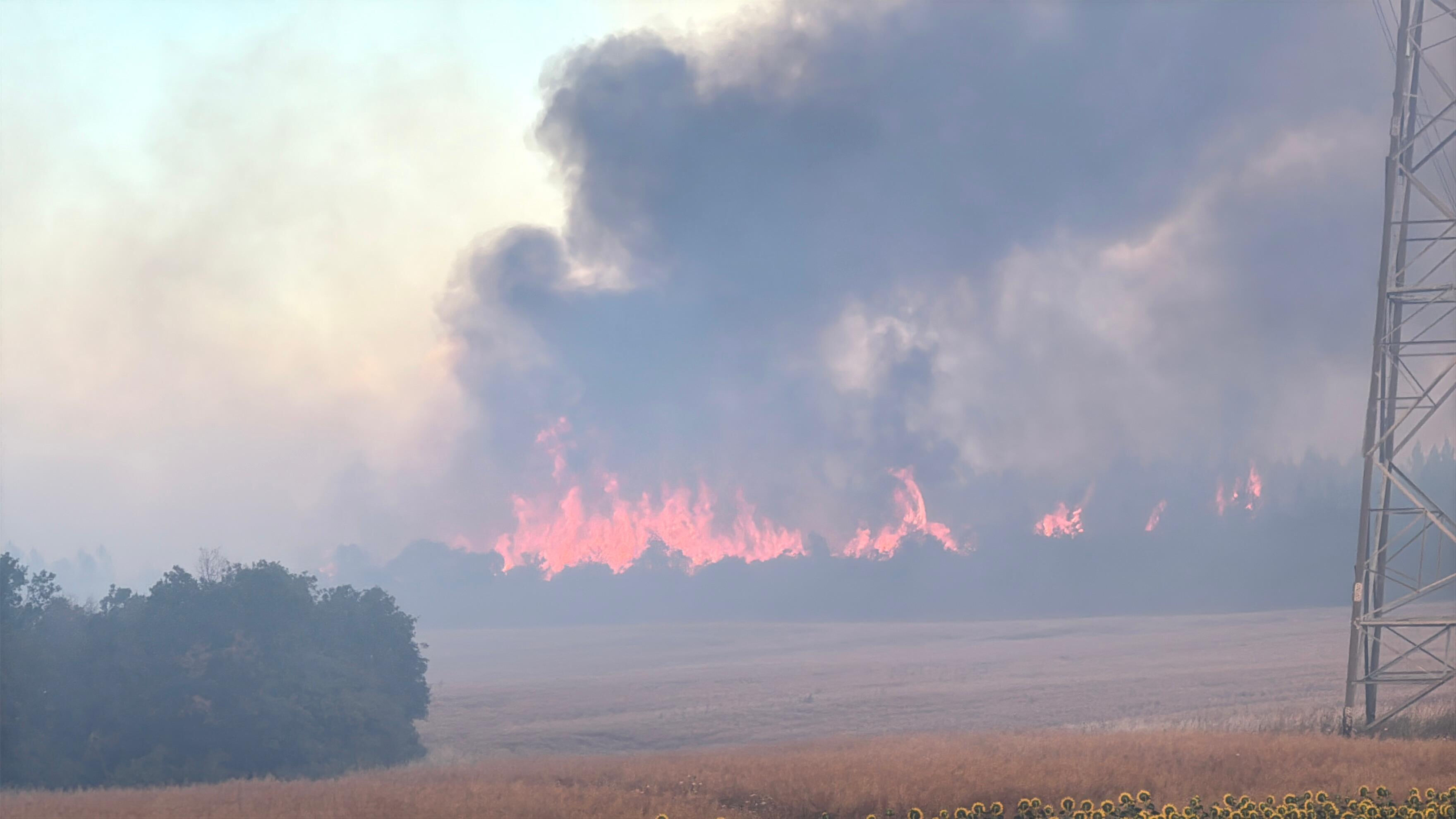 İstanbul Silivri'de orman yangını! 2 yangın söndürme uçağıyla müdahale ediliyor - 1. Resim