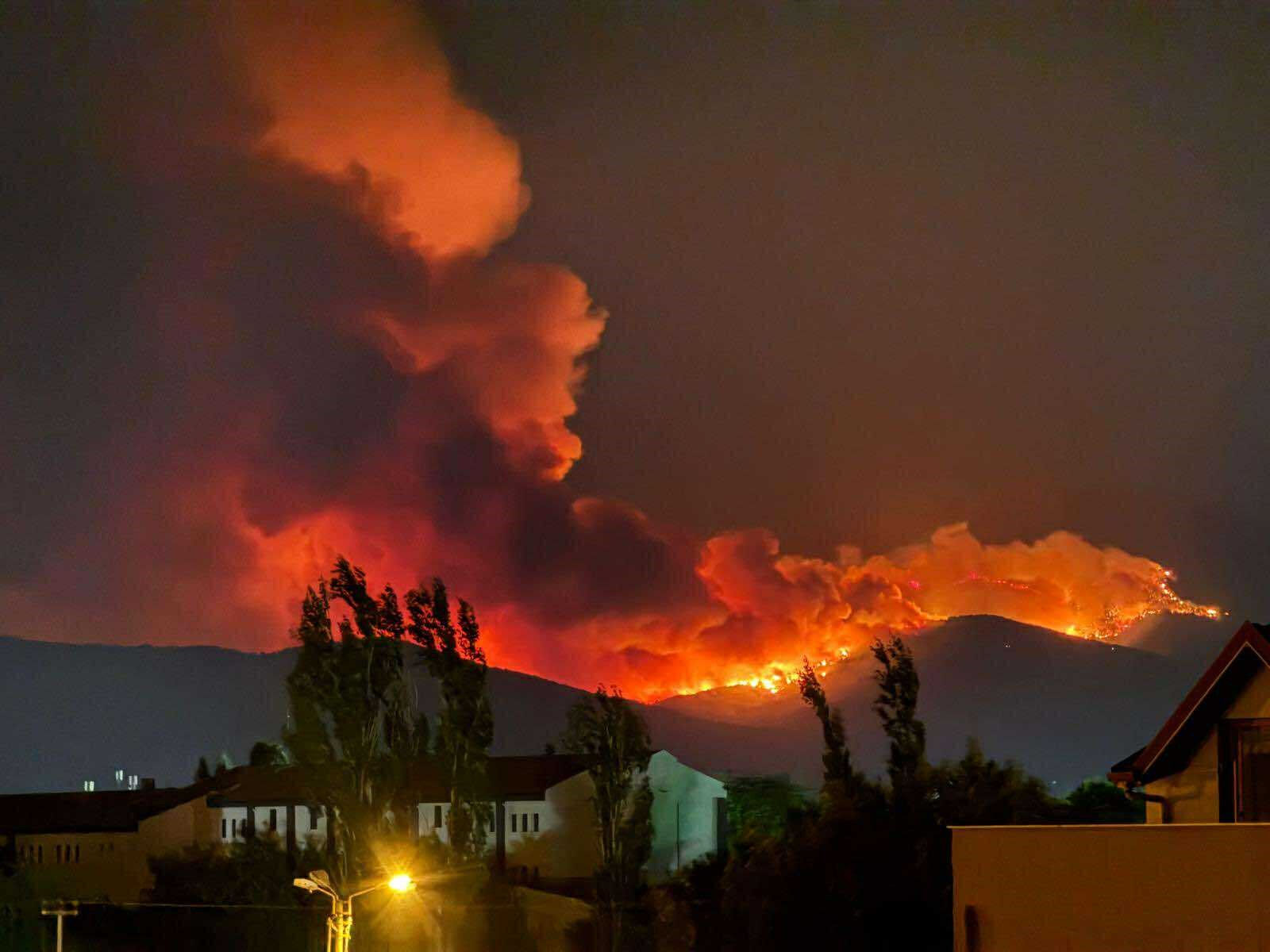 İzmir'de orman yangını devam ediyor mu? Çeşme ve Ödemiş yangınında son durum - 4. Resim