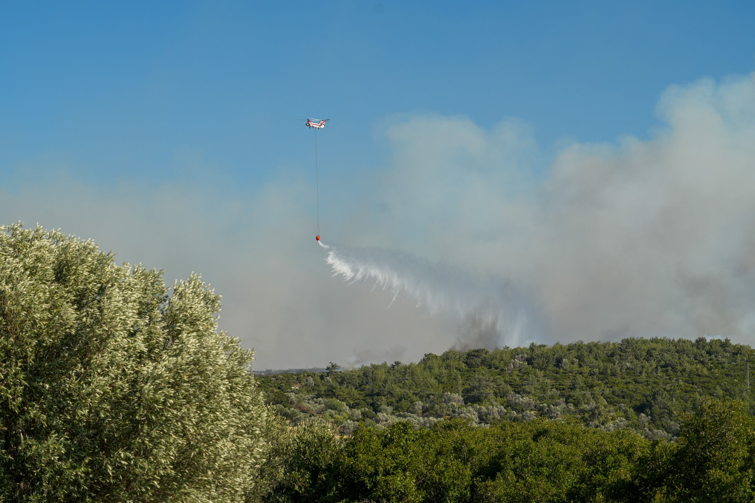 İzmir'de orman yangını devam ediyor mu? Çeşme ve Ödemiş yangınında son durum - 5. Resim