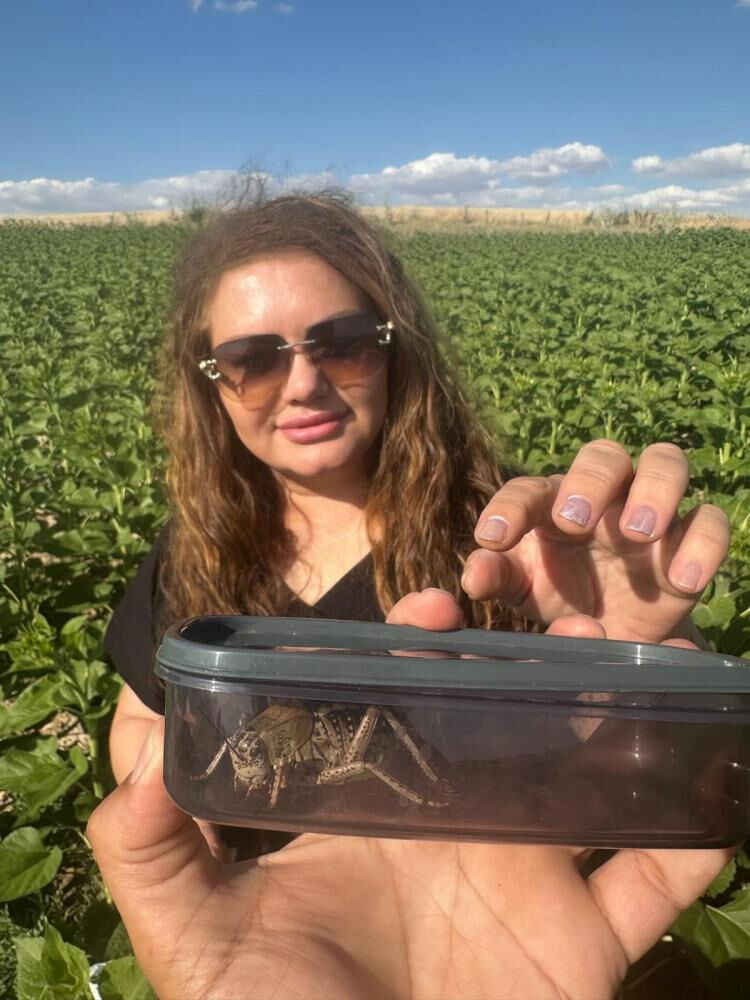 Nesli tehlike altında! Kırşehir'de ilk kez görüntülendi: Vatandaş ihbarıyla buraya geldik - 1. Resim