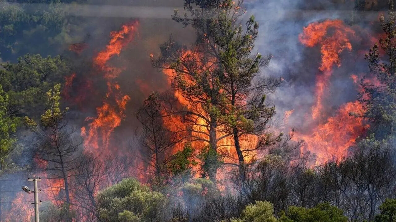 Ödemiş ve Çeşme yangını son dakika: İzmir yangını söndürüldü mü? - 5. Resim
