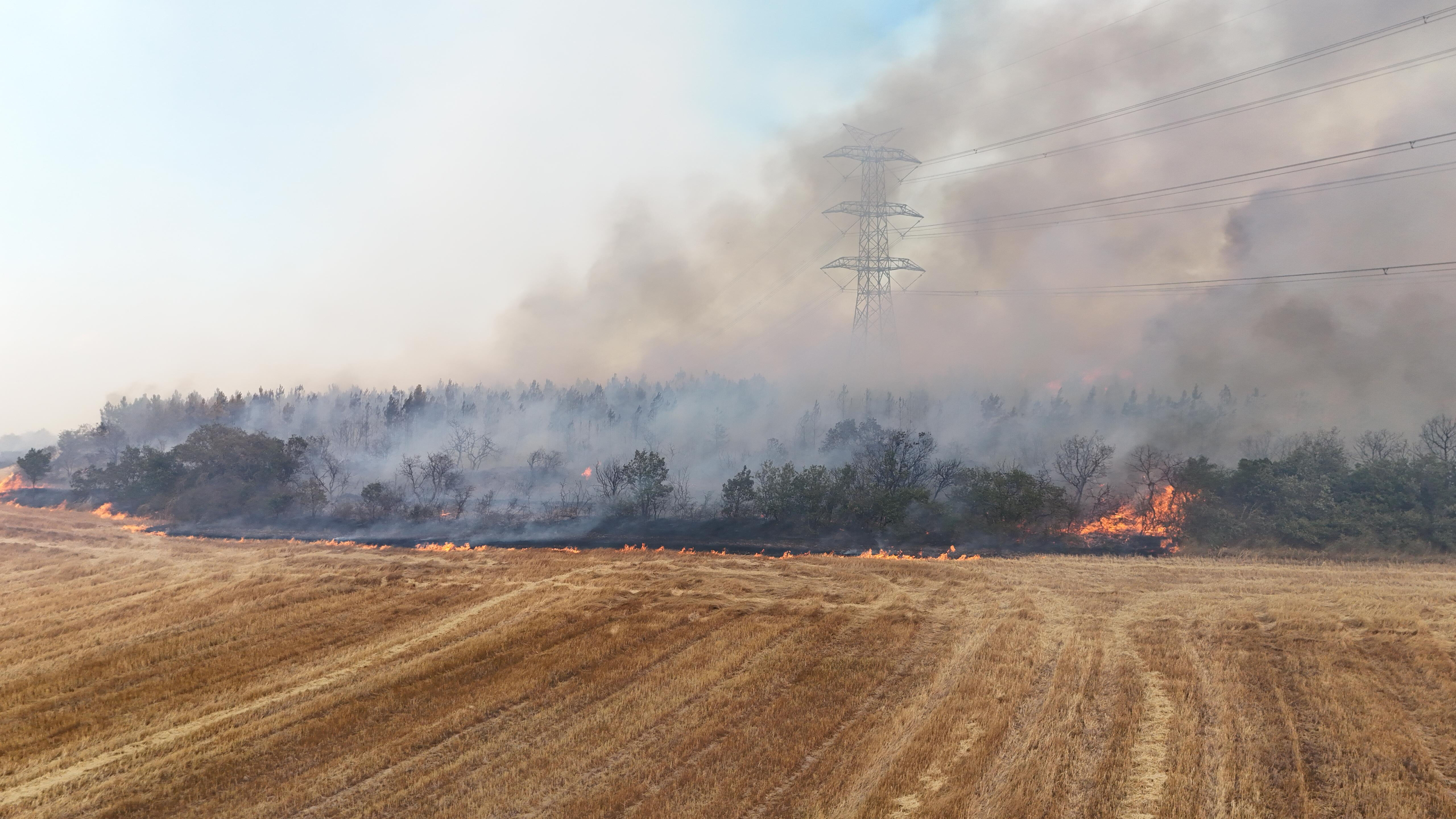 Silivri yangını neden çıktı, söndürüldü mü? İstanbul yangın son dakika durumu kamuoyunun gündeminde! - 2. Resim