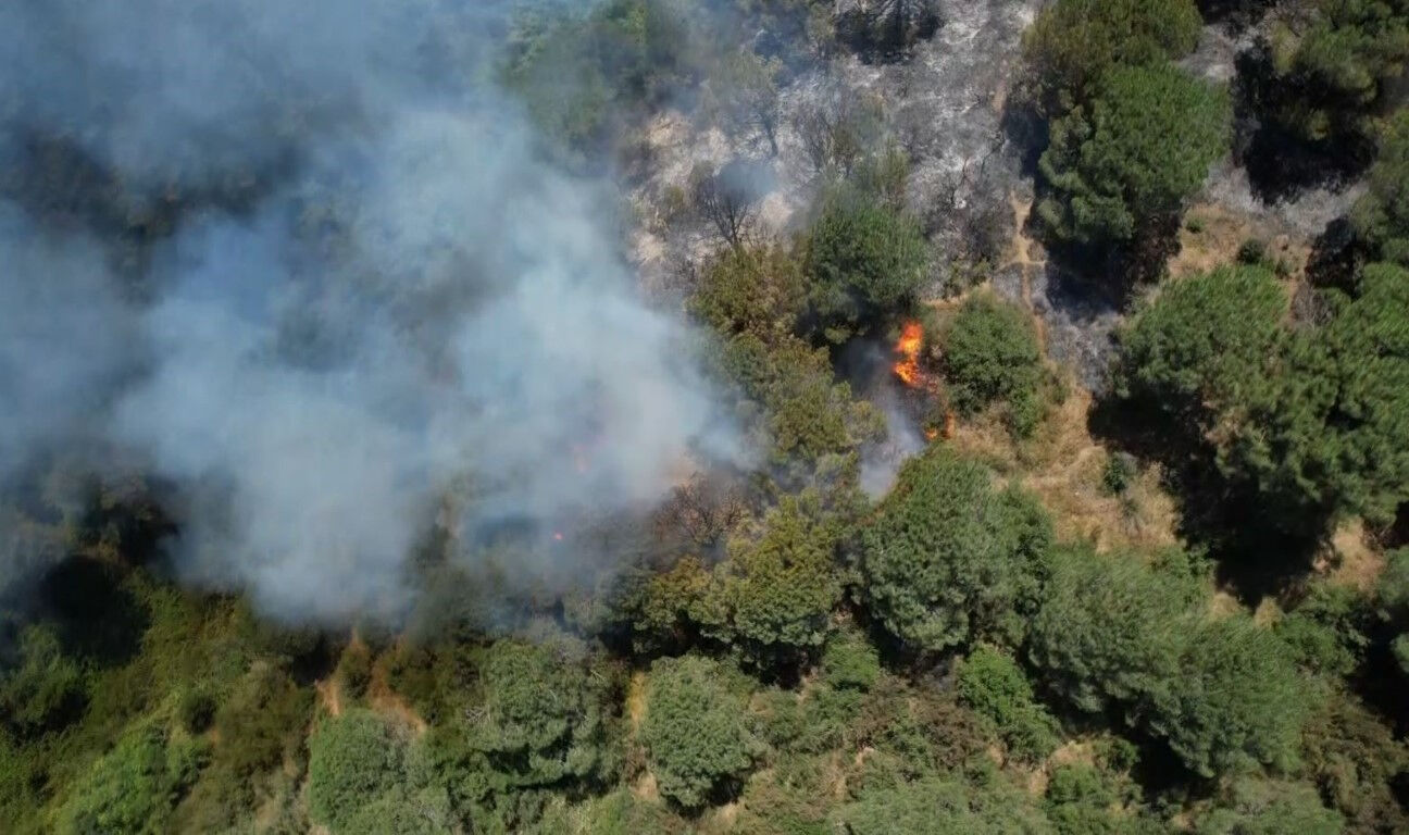 Sultangazi Kent Ormanı’nda yangın söndürüldü mü? Sultangazi yangınında son durum araştırılıyor - 1. Resim