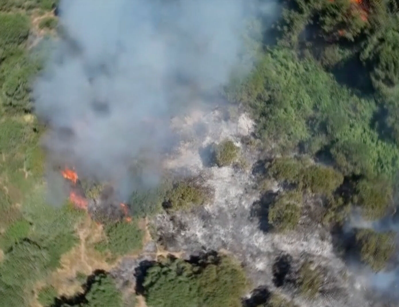 Sultangazi Kent Ormanı’nda yangın söndürüldü mü? Sultangazi yangınında son durum araştırılıyor - 2. Resim