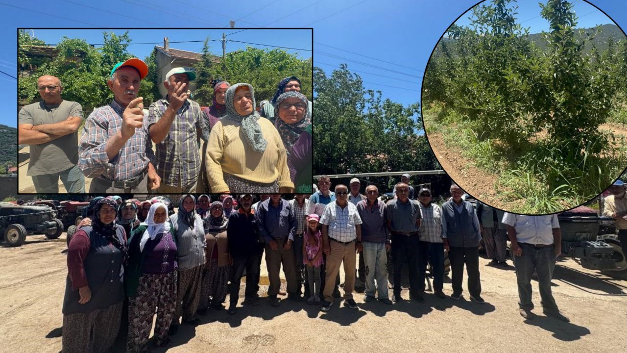 Üretici mağdur, tek ümitleri de sona eriyor! &quot;Başka geçim kaynağımız yok&quot;